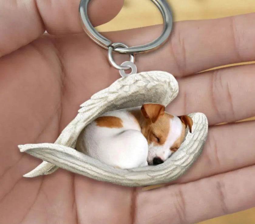 Dog Sleeping Angel Keychains