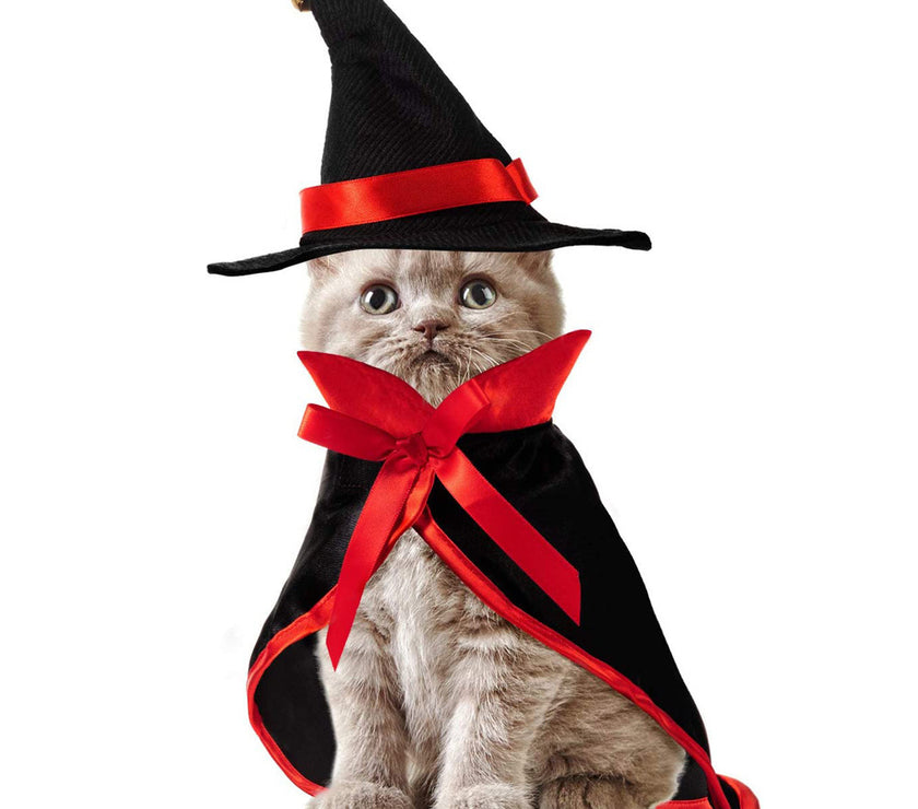 Halloween Wizard Cloak and Hat Costume for Pets