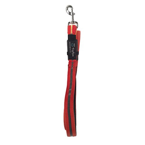 Waterproof Lighted Dog Leash by Dog Brite Keep your dog SAFE at night