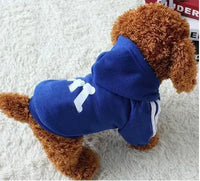 Dog wearing a blue hoodie with white paw print design on a white background