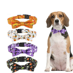 Dog wearing a purple bow tie with Halloween-themed collars displayed below on a white background