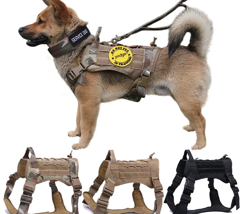 Nylon Tactical Dog Harness with Handle & Bungee Leash for Large Dogs