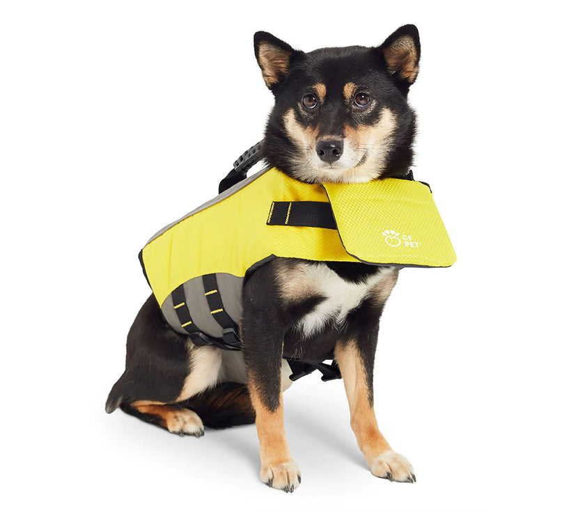 Dog wearing yellow  life vest