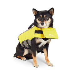 Dog wearing yellow  life vest