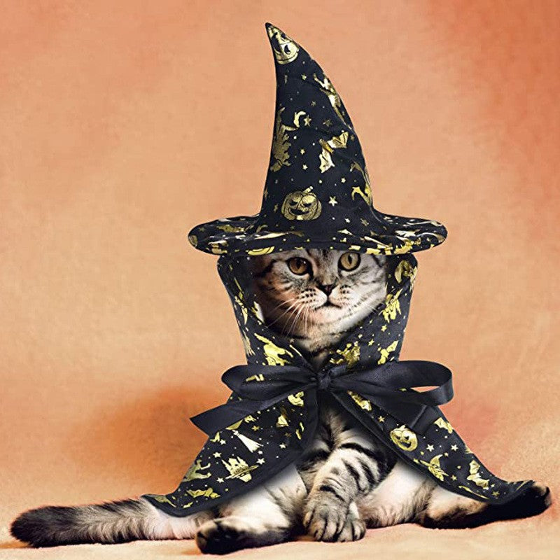 Halloween Wizard Cloak and Hat Costume for Pets