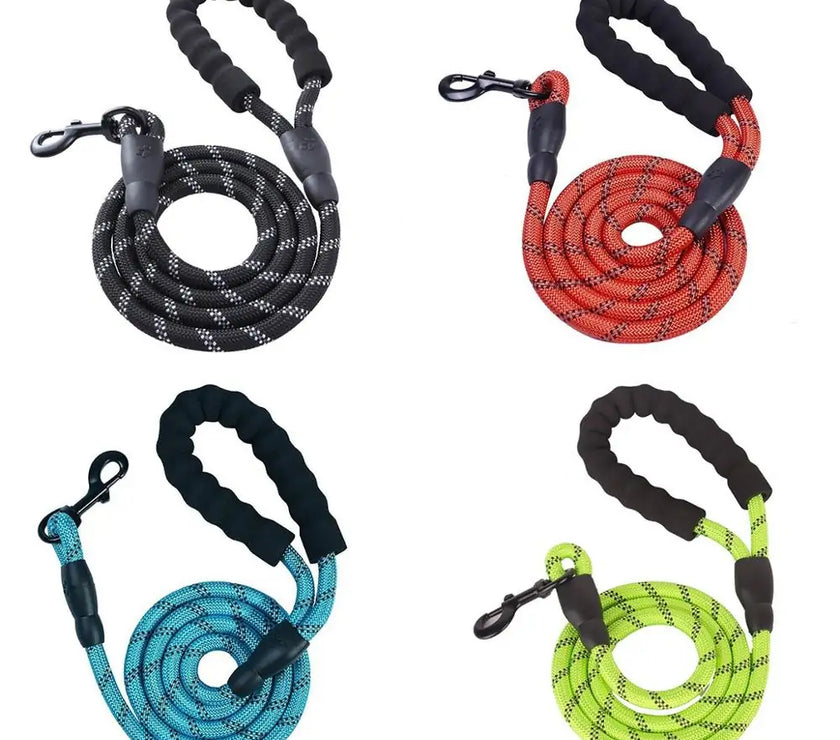  Dog Leash Walking Training Leash