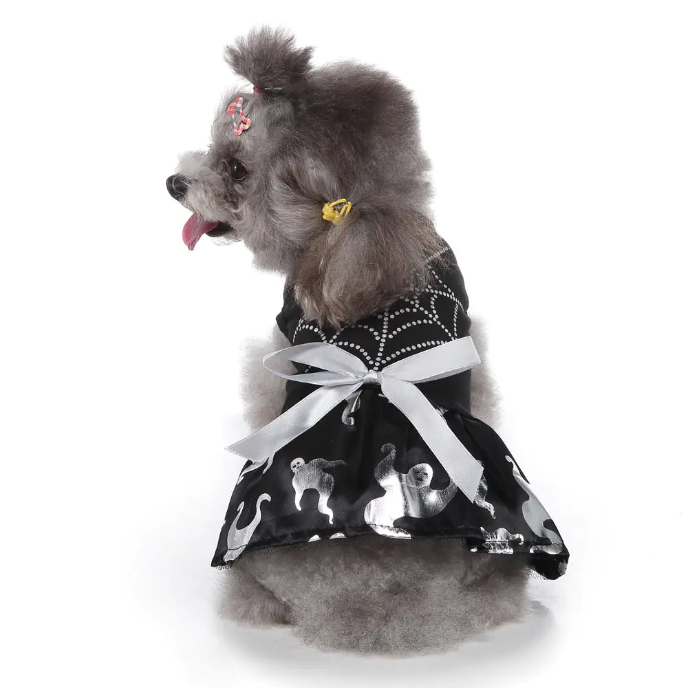 Small dog wearing a black dress with white patterns on a white background