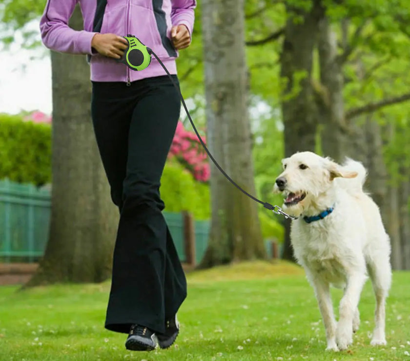 Person walking a dog on a leash in a park