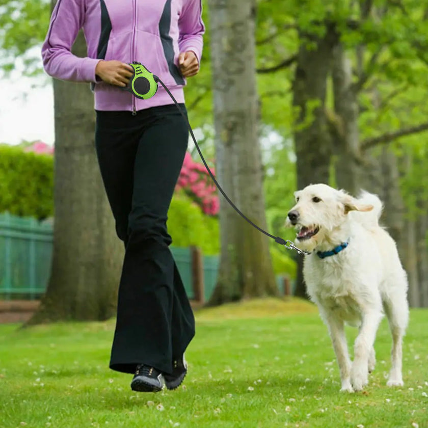 Person walking a dog on a leash in a park