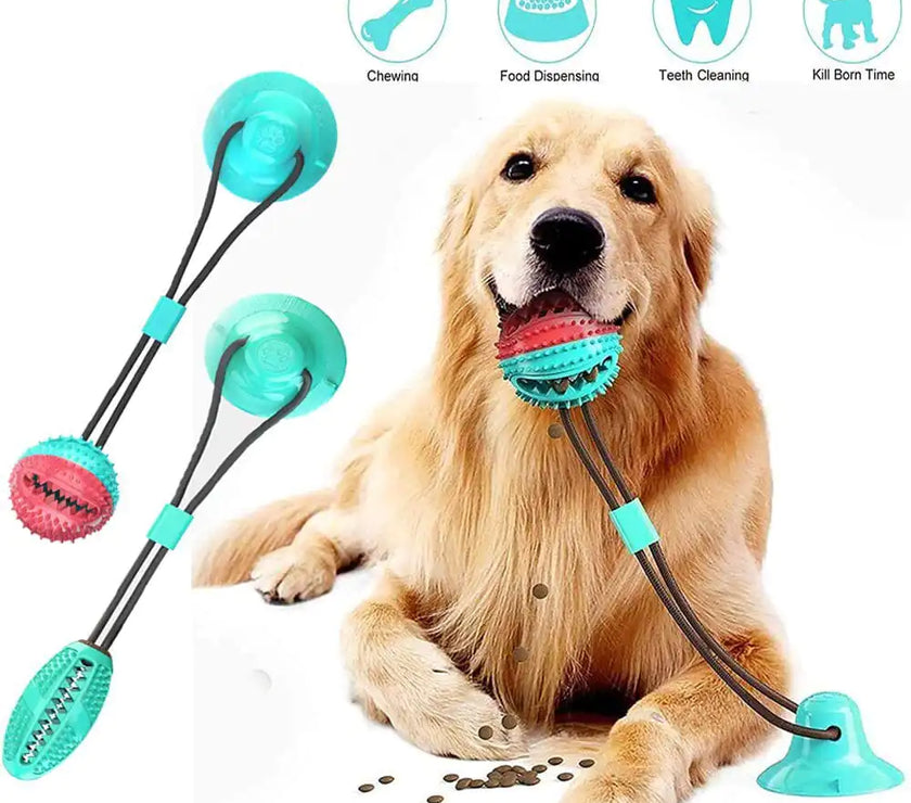 Silicone Suction Cup Dog Toy with dog using the toy