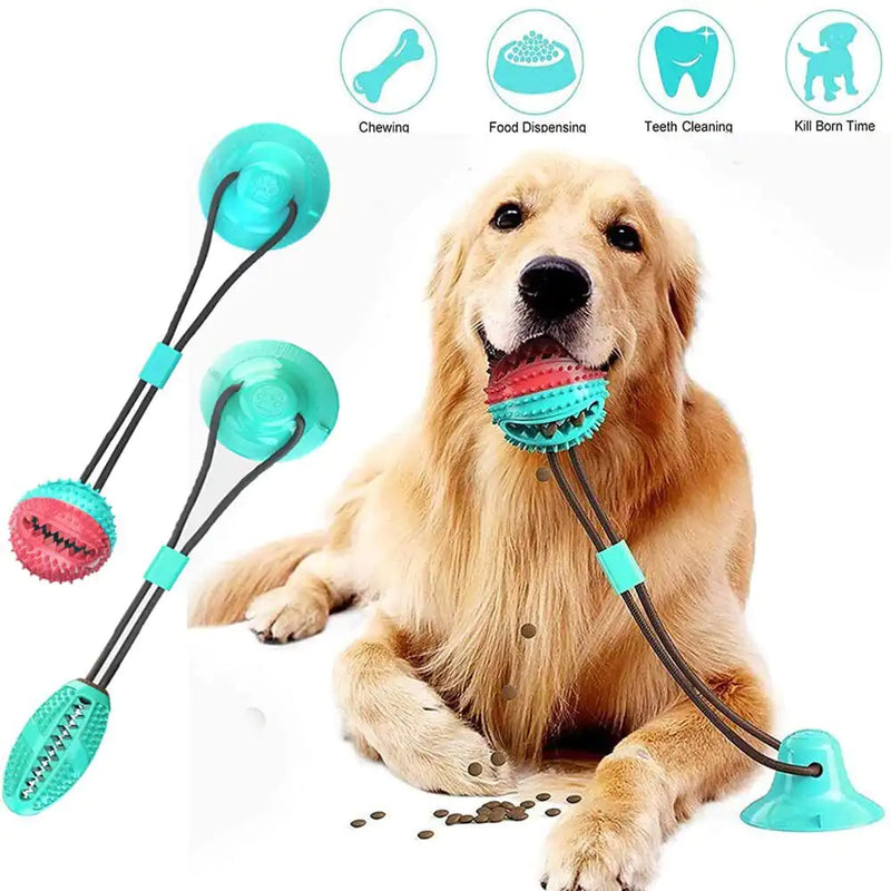 Silicone Suction Cup Dog Toy with dog using the toy