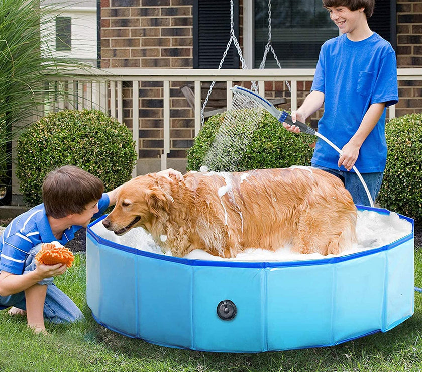 Dog Shower Sprayer Attachment with dog