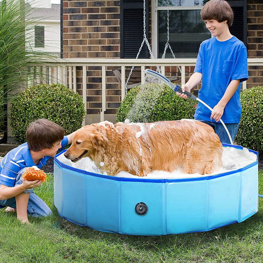 Dog Shower Sprayer Attachment with dog