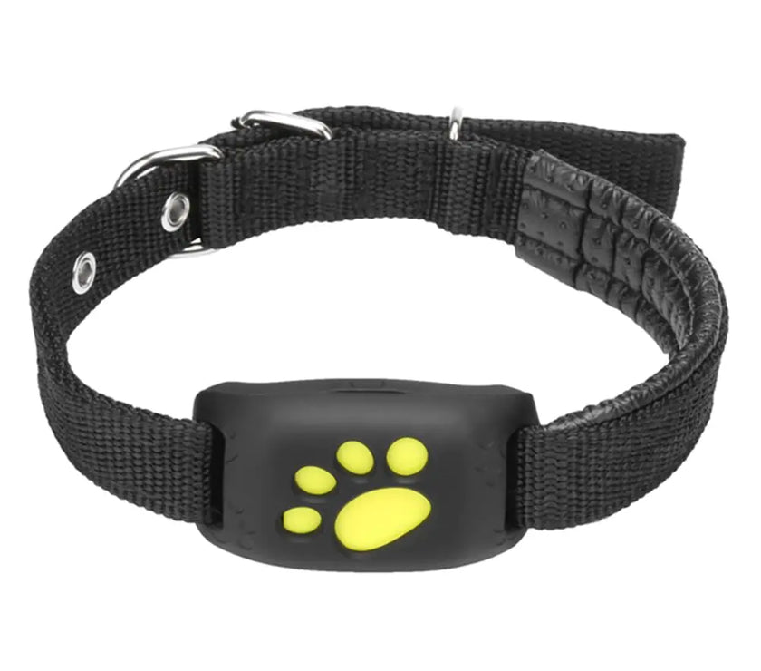 GPS Tracker Dog Collar