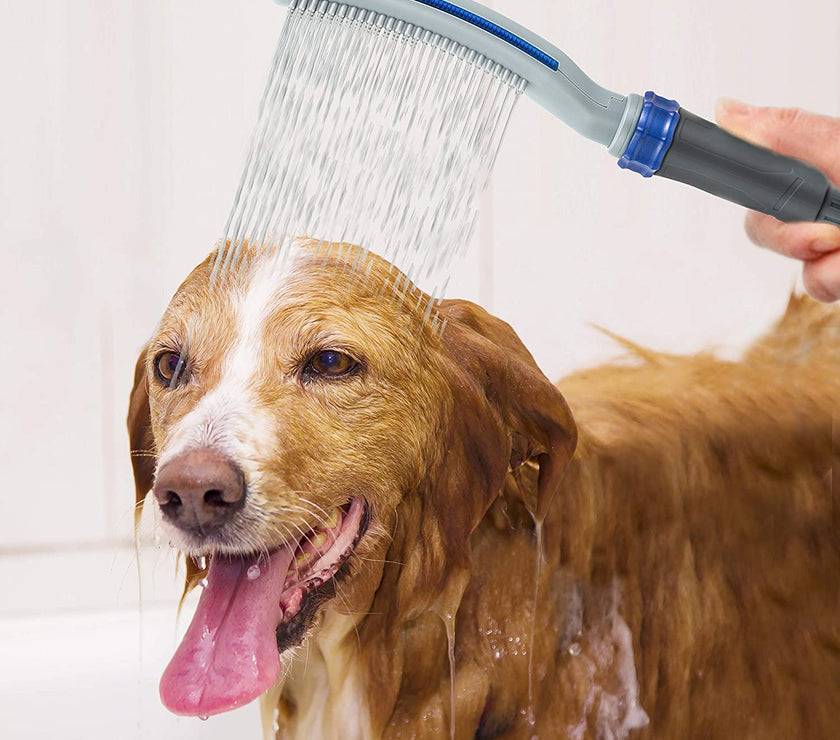 Dog Shower Sprayer Attachment with dog