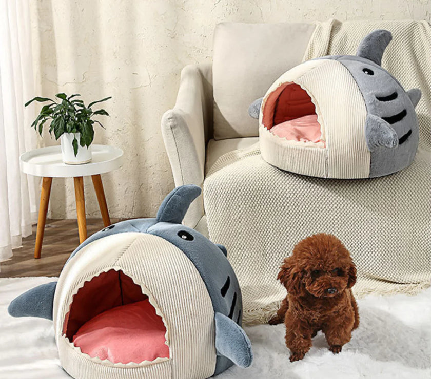 Shark Pet Bed