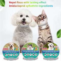 Anti Flea pet collar on cat & dog