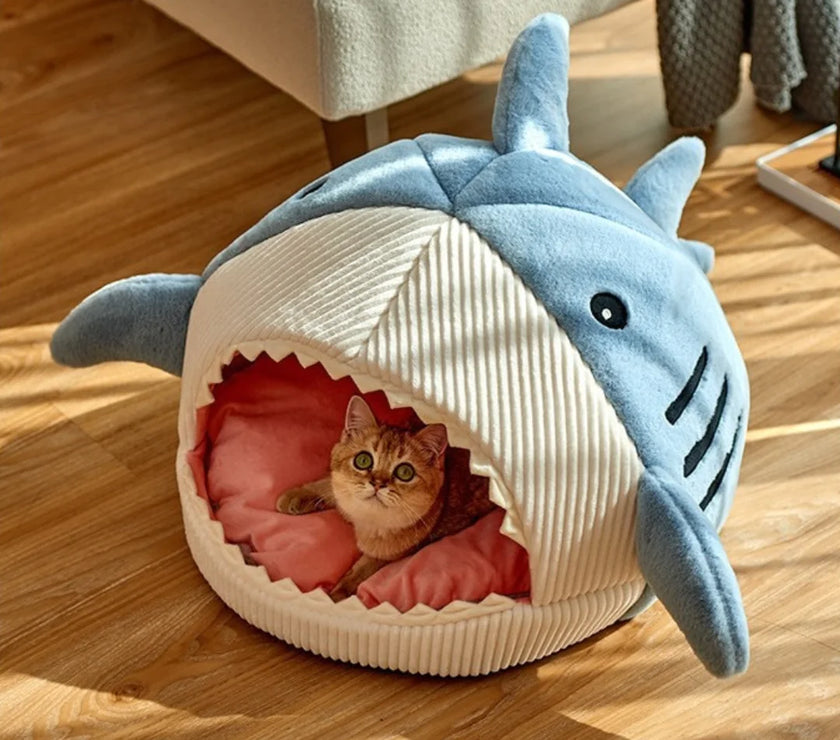 Shark Pet Bed