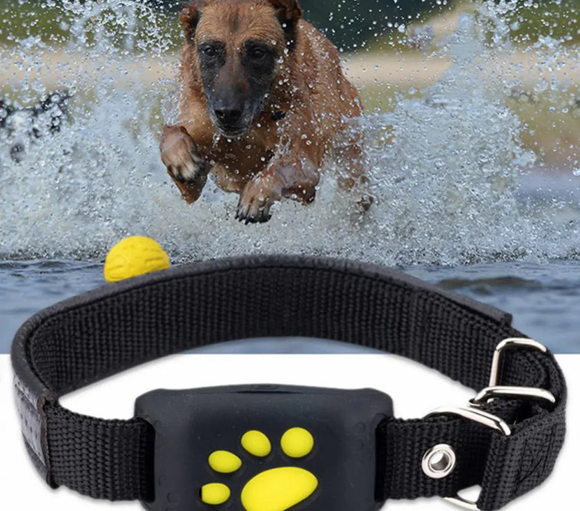 GPS Tracker Dog Collar