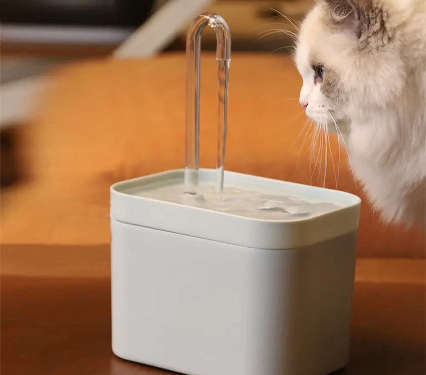 Cat Water Fountain Dispenser