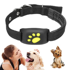 GPS Tracker Dog Collar