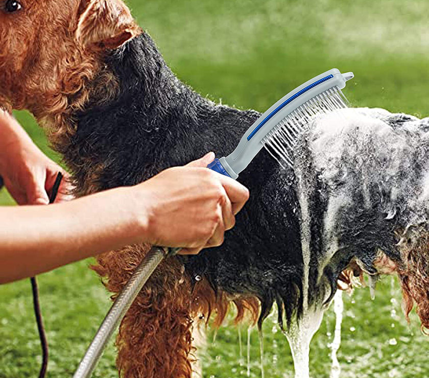 Dog Shower Sprayer Attachment with dog