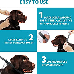 How to use Anti Flea pet collar