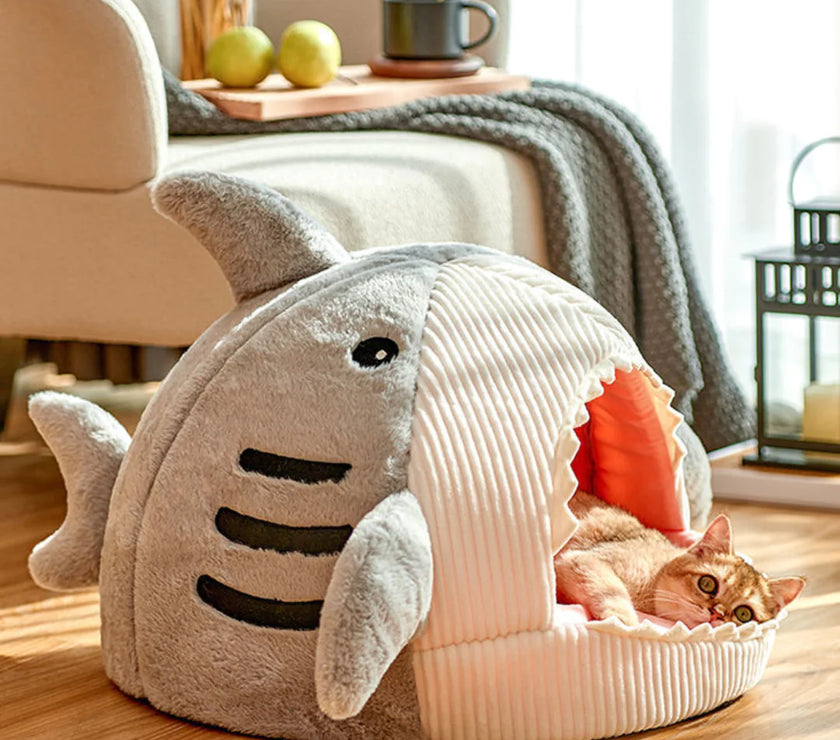 Shark Pet Bed gray